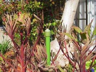 20130317_019