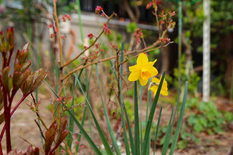 20130327_009