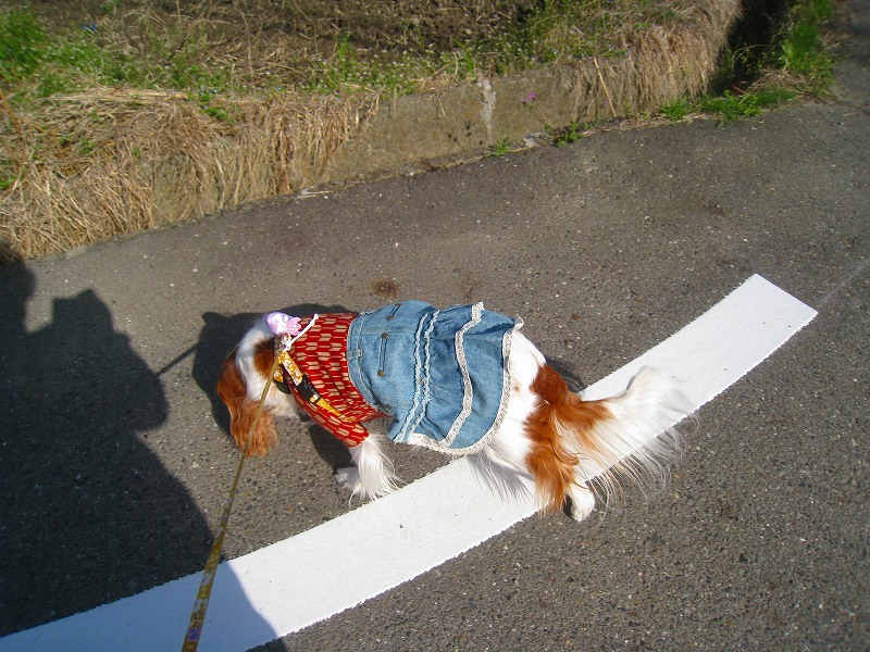 20130404_002