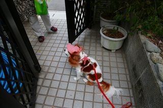 20121011_003