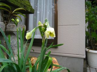 20121215_008
