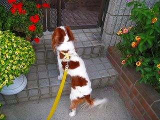20121012_011