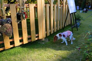 20121015_057 20121015_057