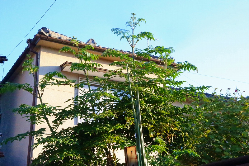 20121026_004