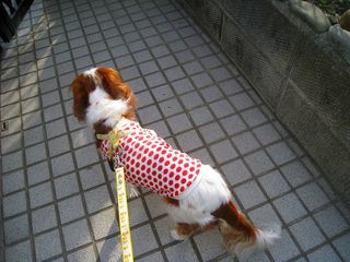 20121130_014