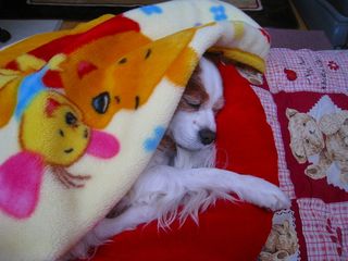 20121227_006