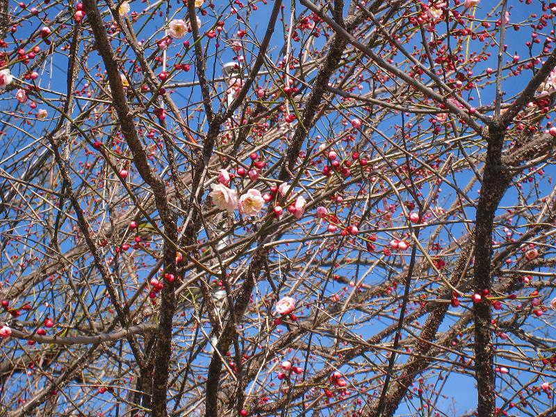 20130226_005