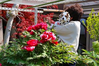 20130412_011