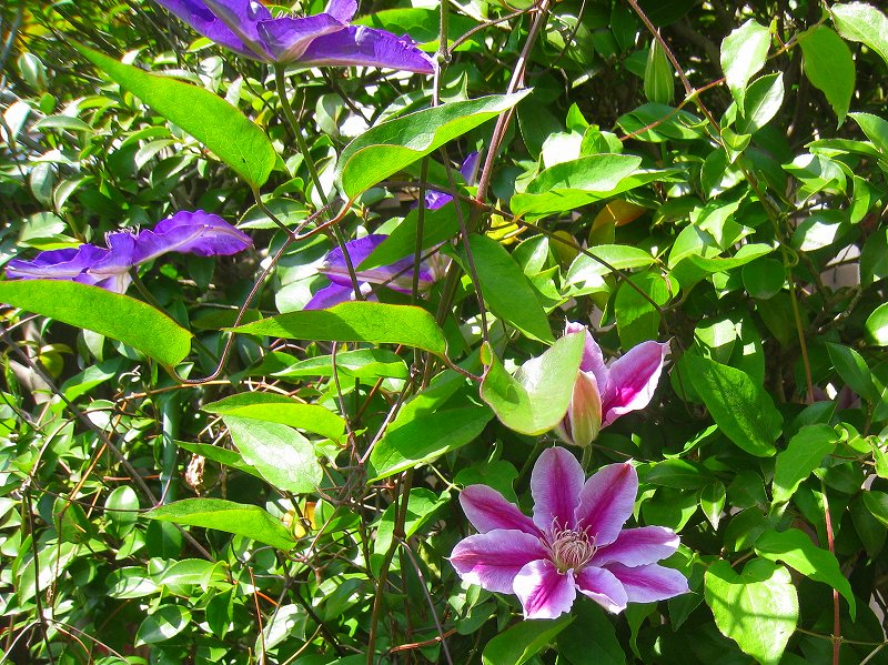 20130425_011