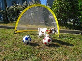 20130512_001