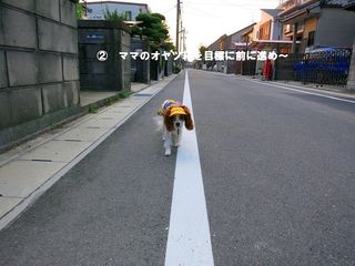 20130822_008