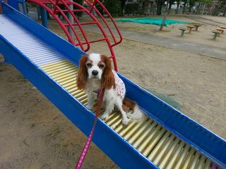 20130527_003