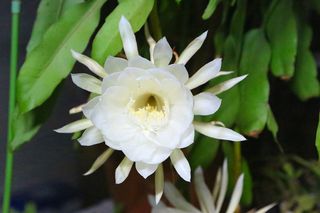 20130625_019 (1)