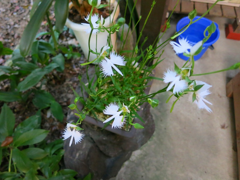 20130810_005