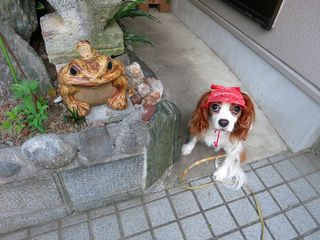 20130811_006