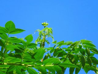 20131030_005