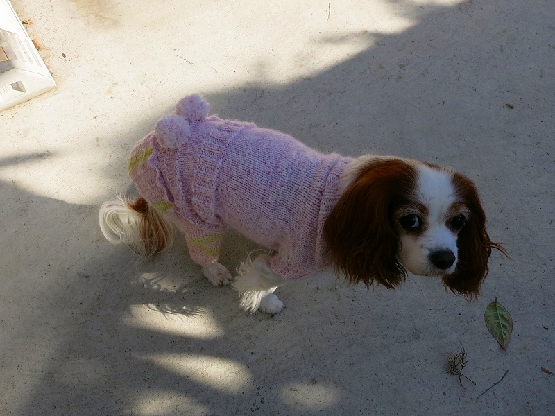 20131128_003