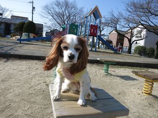 20140319_005
