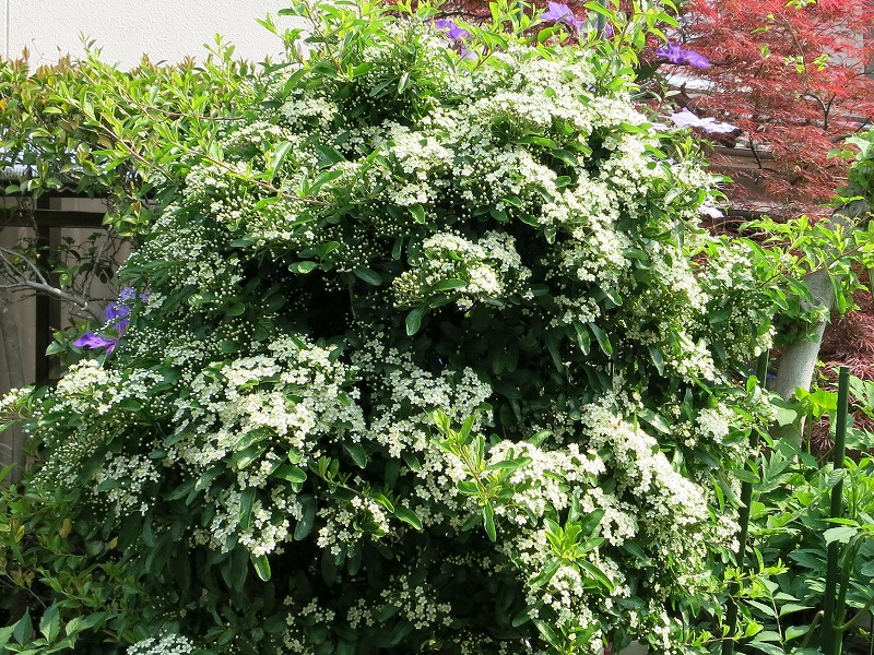 20140503_022