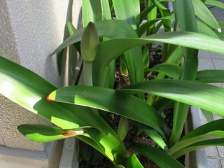 20140507_002