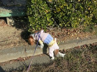 20140107_004