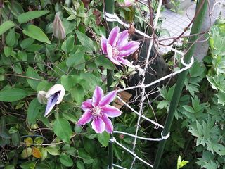 20140425_009