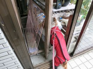 20140430_003
