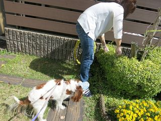 20140517_011