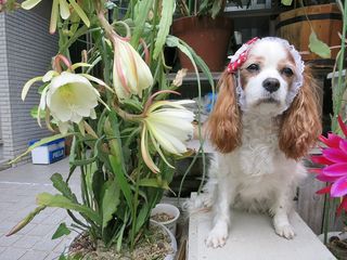 20140526_007