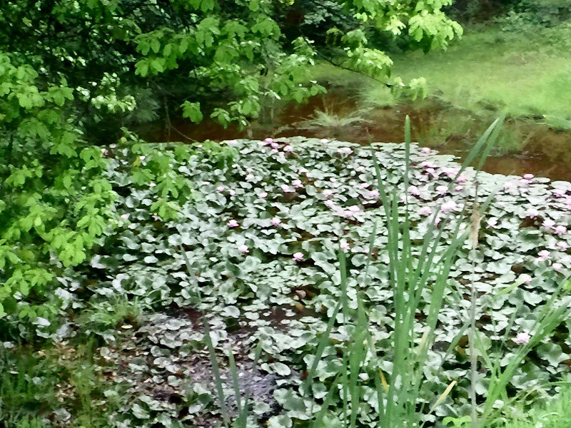 20140605_012