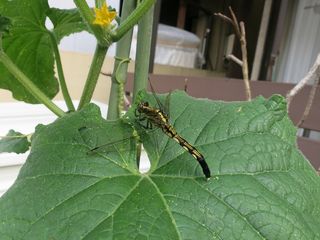 20140723_010