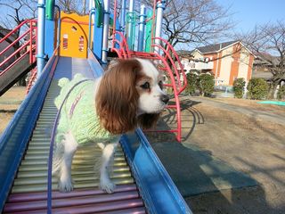 20140129_005
