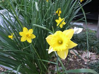 20140331_003