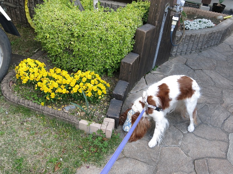 20140419_002