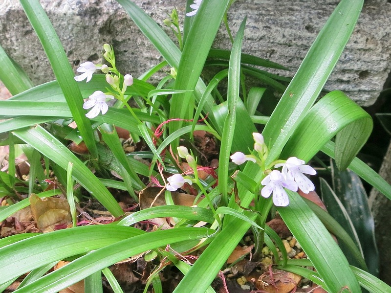 20140626_006