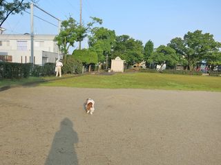 20140629_003