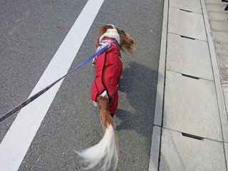 20150219_008 (1)