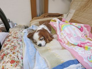 20150322_002