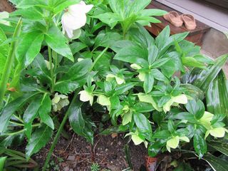 20150405_003