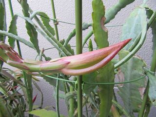 20150520_008