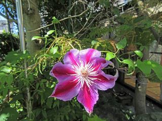 20151003_009