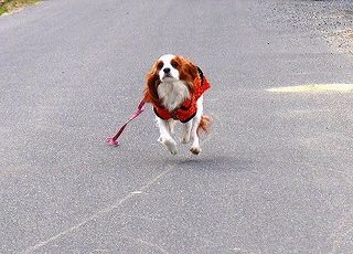 IMG_6199-1