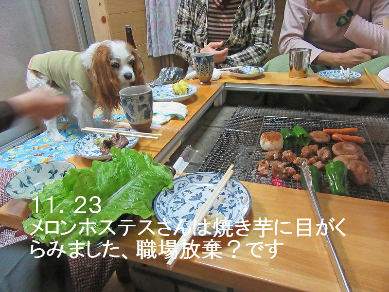 20151123_024