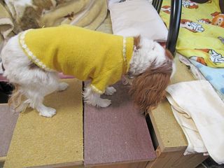 20160107_005 20160107_005