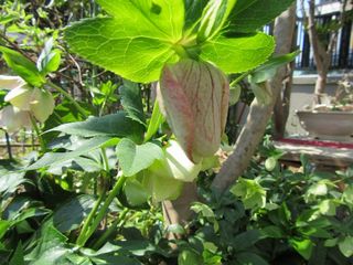 20160327_021