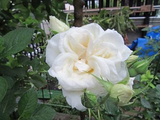 20160511_009