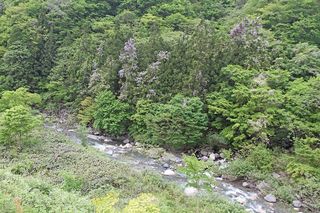 20160515_002 20160515_002