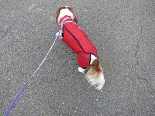 20150224_003