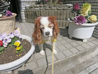 20150304_011
