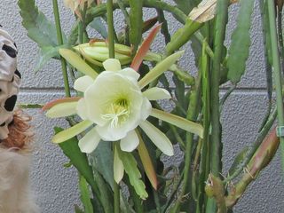 20150526_002